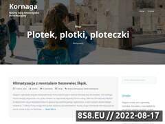 Miniaturka domeny www.kornaga.pl