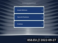 Miniaturka domeny www.kosze-brabantia.pl