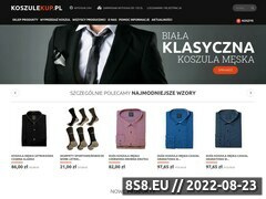 Miniaturka domeny koszulekup.pl