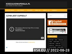 Miniaturka domeny www.koszulkowapensja.pl