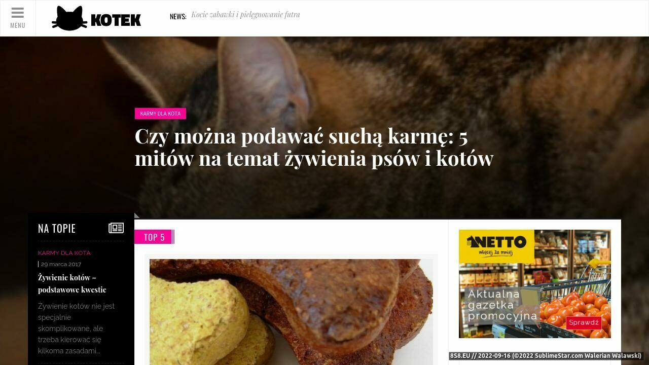 Sklep zoologiczny (strona kotek.com.pl - Kotek.com.pl)