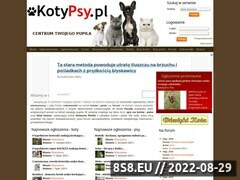 Miniaturka domeny www.kotypsy.pl