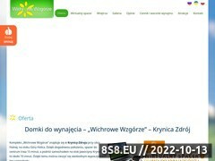 Miniaturka domeny krynica-domki.net