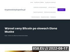 Miniaturka kryptowalutykoparka.pl (Blog o Bitcoin i innych kryptowalutach)