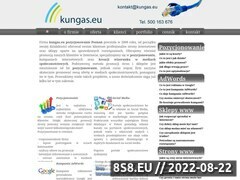 Miniaturka domeny www.kungas.eu