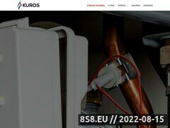 Miniaturka domeny kuros-serwis.pl