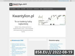 Miniaturka kwantylion.pl (Forex i GPW - analizy i systemy transakcyjne)