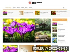 Miniaturka domeny www.kwiaciarnia-amor.pl