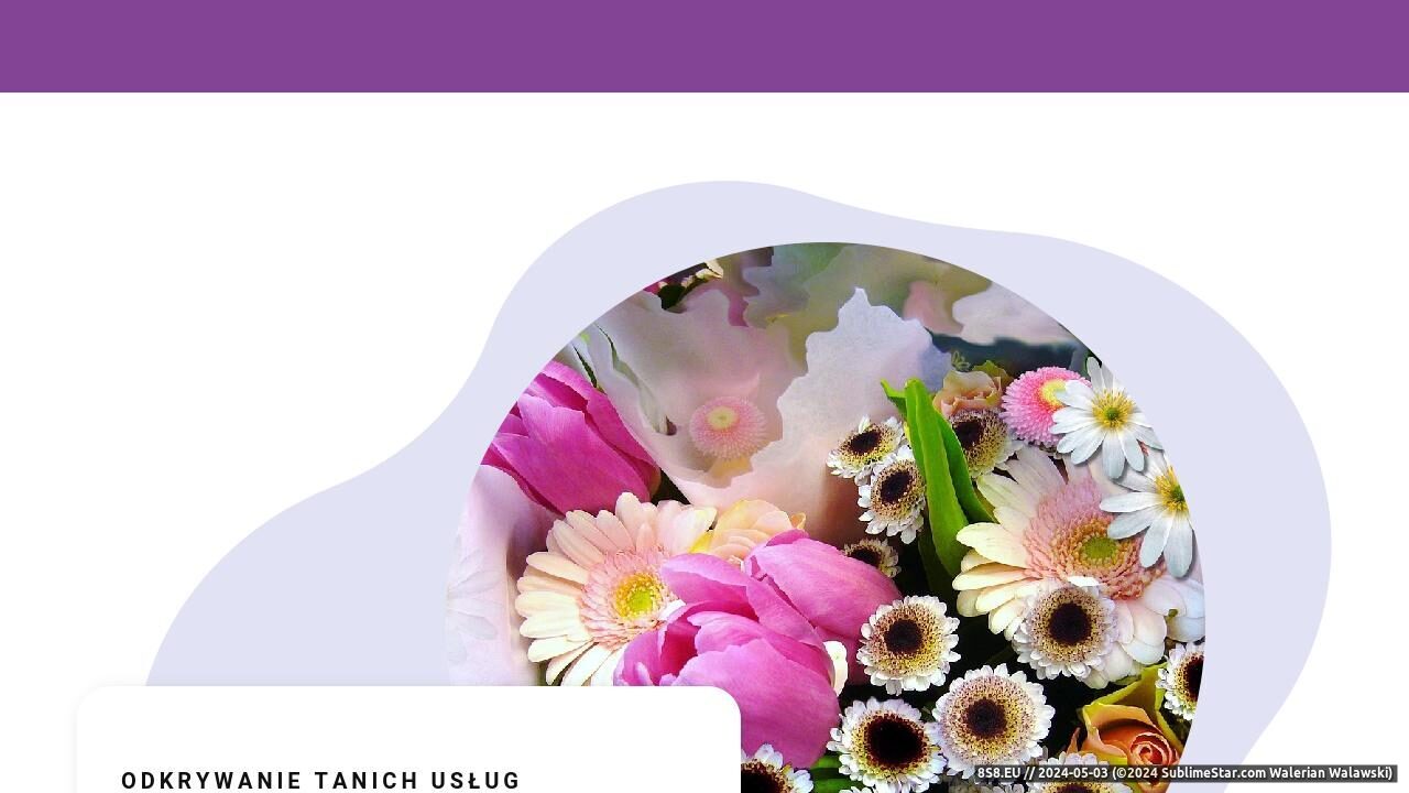 Zrzut ekranu Maciejka - dekoracje kwiatowe