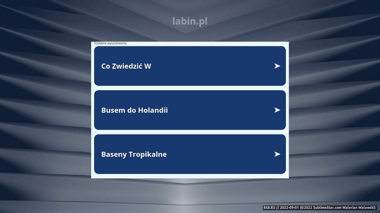 Zrzut ekranu Firma informatyczna Lublin