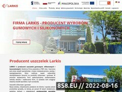 Miniaturka domeny www.larkis.pl