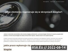 Zrzut strony Pióra Wycieraczek - Sklep LEIFI.PL