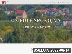 Miniaturka domeny lirsiedlce.pl