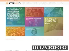 Miniaturka domeny littlebaby.pl