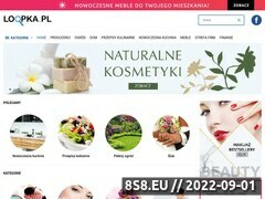 Miniaturka domeny www.loopka.pl