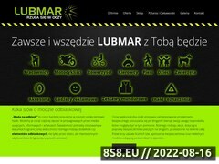 Miniaturka www.lubmar-odblaski.pl (Odblaski i odzież ostrzegawcza)