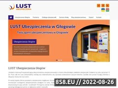 Miniaturka domeny www.lustubezpieczenia.pl