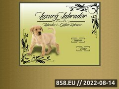Miniaturka www.luxurylabrador.pl (Strona hodowli psów Labrador i Golden Retriever)