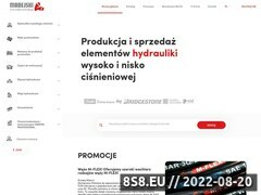 Miniaturka domeny www.madejski.com.pl