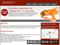 Miniaturka strony SPA Szczecin