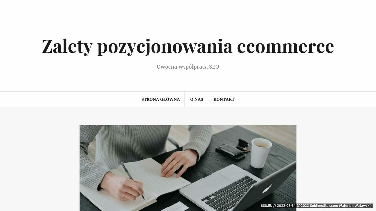 Działalność gospodarcza oraz niskie składki ZUS (strona www.maly-zus.pl - Maly-zus.pl)