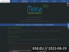 Miniaturka domeny meksa.pl