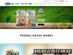 Miniaturka melvit.pl (Produkty zbożowe i zdrowa żywność)