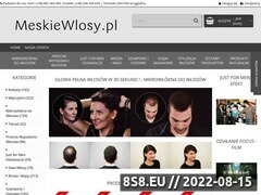 Miniaturka domeny www.meskiewlosy.pl