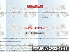 Miniaturka domeny metalsystem.pl
