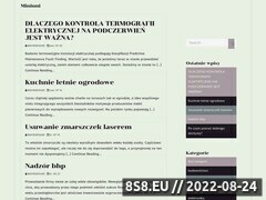 Miniaturka strony Prywatne przedszkole Pozna