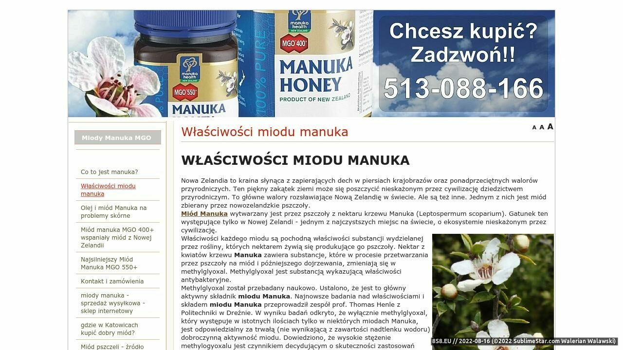 Miód Manuka - panaceum z Nowej Zelandii (strona miodmanuka.com - Miodmanuka.com)