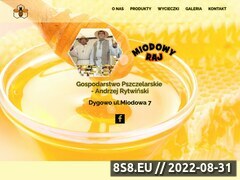 Miniaturka miodowyraj.info.pl (Pasieka - miód, miody i pszczoły)