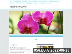 Miniaturka domeny www.mojestorczyki.pl