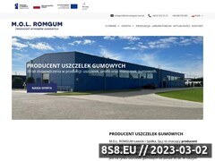 Miniaturka www.mol-romgum.com.pl (Producent uszczelek gumowych i wyrobów gumowych)