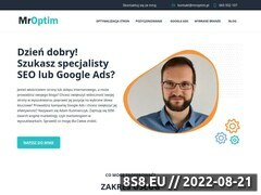 Miniaturka mroptim.pl (Optymalizacja, copywriting i kampanie AdWords)