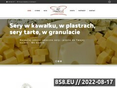 Miniaturka msgastro.pl (Dystrybutor mięsa, wędlin, serów i innych)