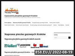Miniaturka domeny www.naprawa-piecow.pl
