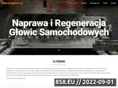 Miniaturka domeny naprawaglowic.pl
