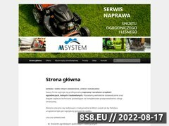 Miniaturka naprawakosiarek.com.pl (Naprawa sprzętu ogrodniczego i leśnego)