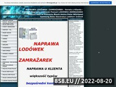 Miniaturka strony Naprawa Lodwek i Zamraarek- Serwis