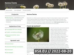 Miniaturka strony Cebule kwiatowe oraz nasiona
