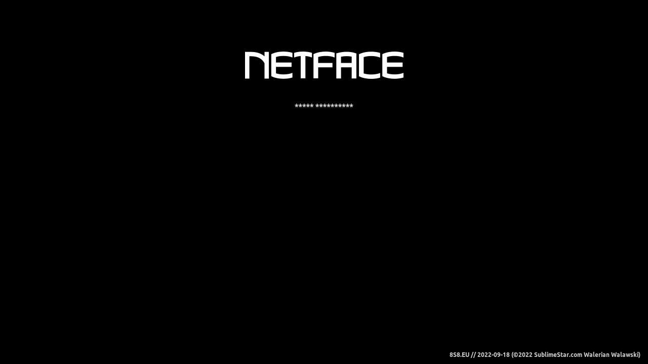 Tworzenie sklepów internetowych (strona netface.pl - Netface.pl)