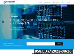 Miniaturka netserwer.pl (Tani hosting NETSERWER.PL - hosting www, e-mail i domeny)