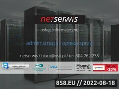 Miniaturka netserwis.org (Netserwis)