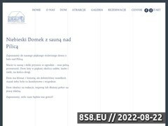 Miniaturka domeny www.niebieskidomek.pl