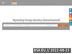 Miniaturka domeny www.nieruchomoscipgn.pl