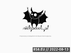 Miniaturka nietoperek.pl (Nietoperek - <strong>odzież dziecięca</strong>)