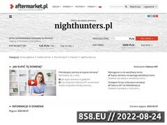 Miniaturka domeny nighthunters.pl