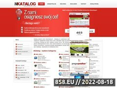 Zrzut strony Polskie strony internetowe - nKatalog