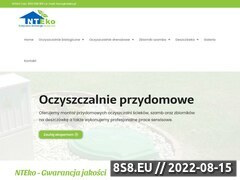 Miniaturka domeny www.nteko.pl